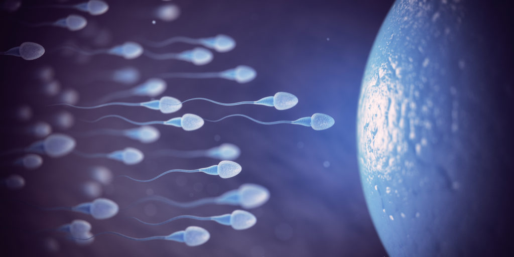 La qualité du sperme en Suisse, un souci pour le futur