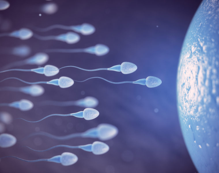 La qualité du sperme en Suisse, un souci pour le futur