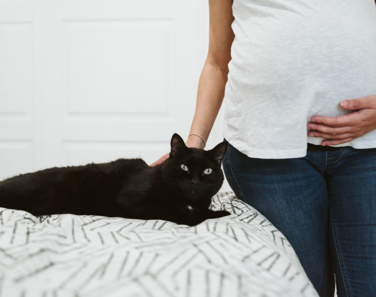 Comment préparer son petit félin à l’arrivée de bébé ?